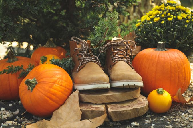 Cozy autumn concept with pumpkins outdoor in the park