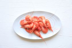 Shrimps served on plate