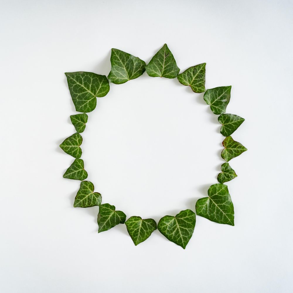 Circle of leaves on light background