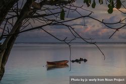 Boat in the ocean on a calm morning pictured from a tree bxQJa0