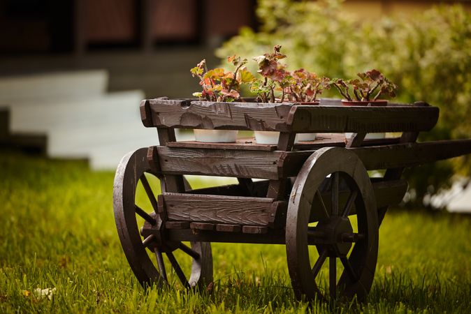 Potted plants in timber wagon