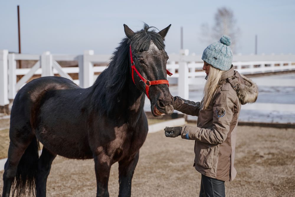 Warm dressed woman with brown horse by hay