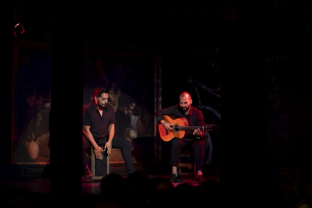 Musicians playing instruments on stage