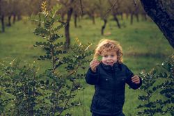 Delighted boy with leaf in grove