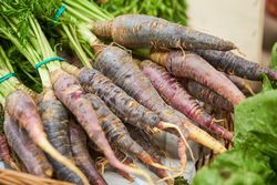 Pile of carrots with green leaves
