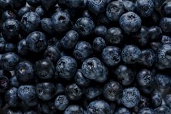 Blueberries close up flat lay