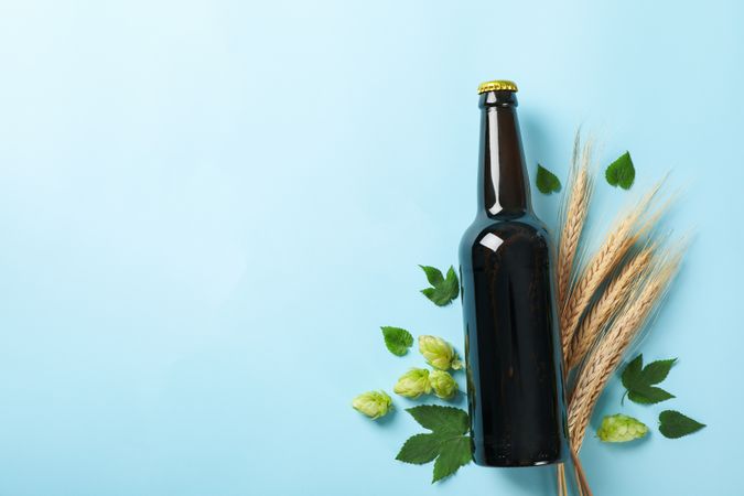 Bottle of beer, wheat and hop on blue background