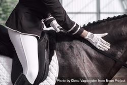 Glove of horseback rider comforting show horse 0LmmP5