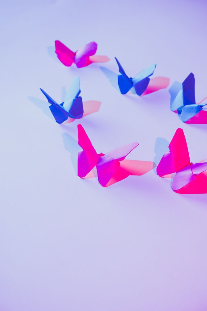 Paper butterflies and leaf on wall