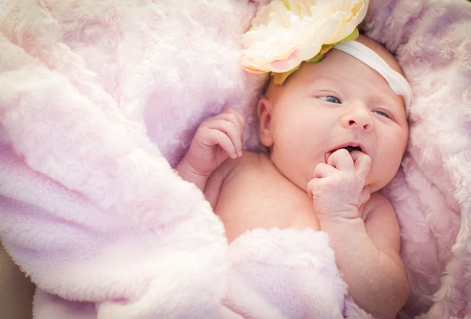 Cute Newborn Baby Girl Laying in Soft Blanket