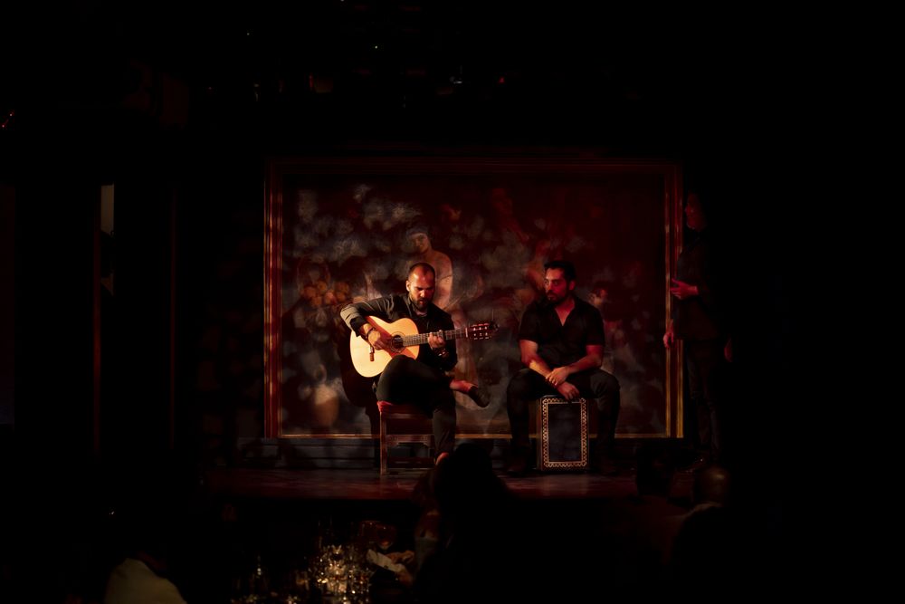 Musicians playing instruments on stage