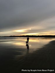 Silhouette of person and a dog walking on seashore during sunset 5r7md4