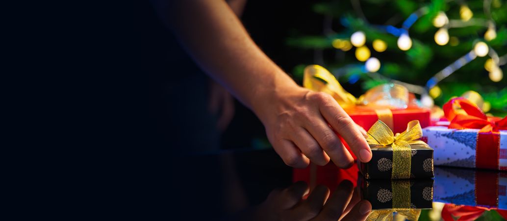 Christmas gift under the holiday tree