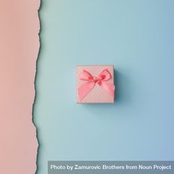 Close up shot of small gift wrapped with pink ribbon on pink blue background 48g7R5