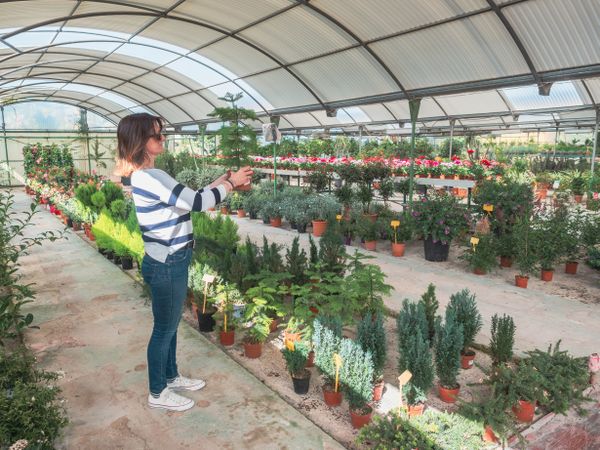 Female studying flowers in greenhouse