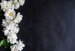 Frame with rose flowers and copy space