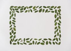 Green leaf frame on light background