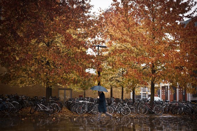 Person with umbrella walking on street