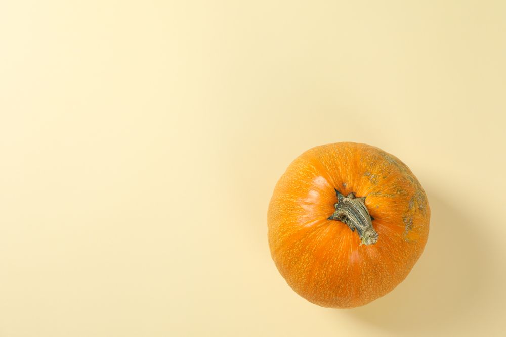 Pumpkin on color background, space for text