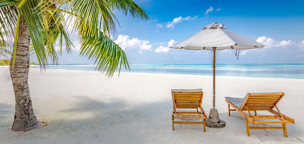 Reclining chairs near a palm tree on a deserted beach