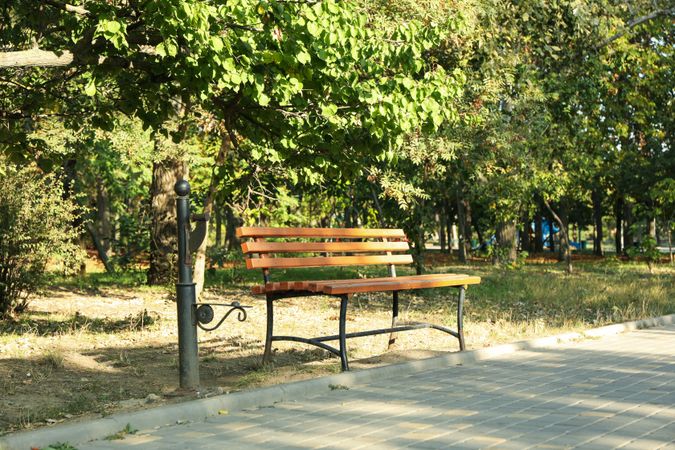Beautiful city park in bright sunny morning
