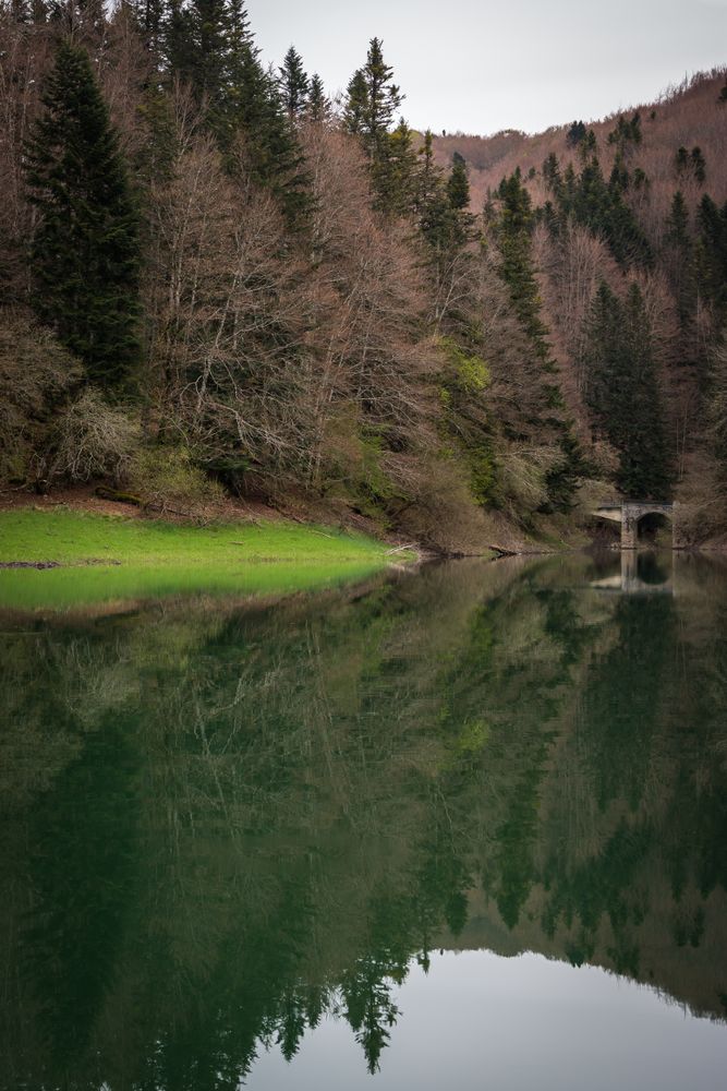 Hills and forest near calm lake