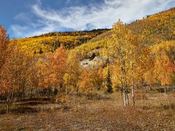 Vivid fall colors in Colorado mountains K4jBR4