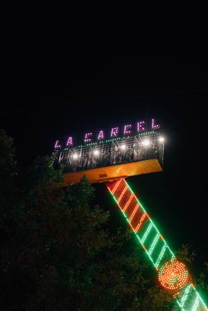 Amusement ride amidst trees in park