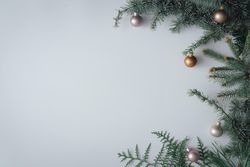 Christmas tree branch bordering left of light background with golden bauble decorations