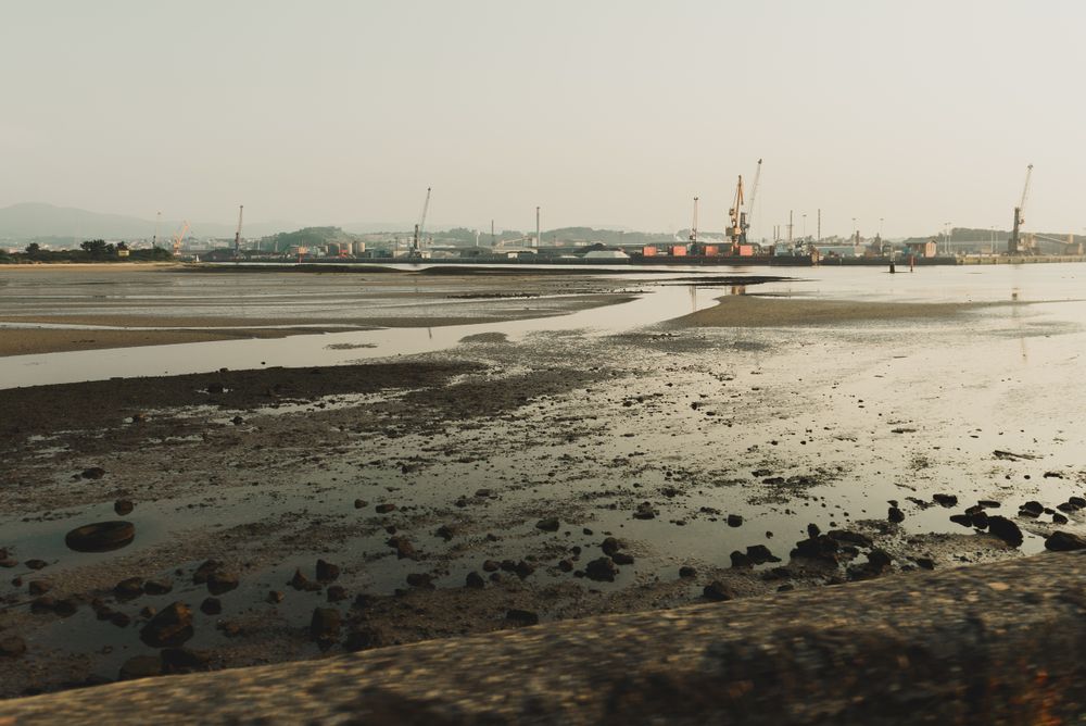 Industrial landscape with sea bay and port cranes