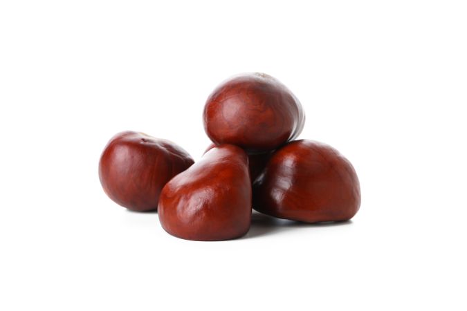 Fresh and ripe chestnuts, isolated on plain background