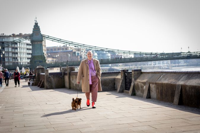 Back of man walking by river with two small dogs