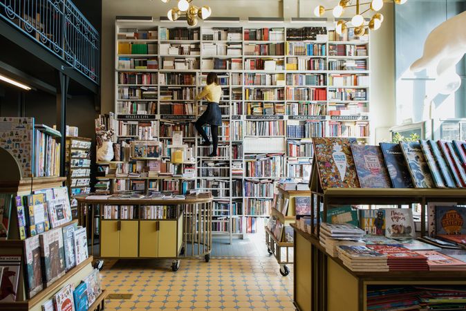 Back view of woman standing on a ladder beside bookshelves