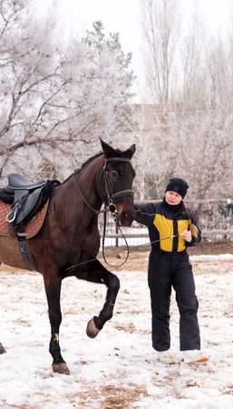 Person leading a lively horse in snow. Dressage.