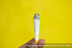 Yellow background with fingers holding burning hand rolled cigarette 5aX7gP