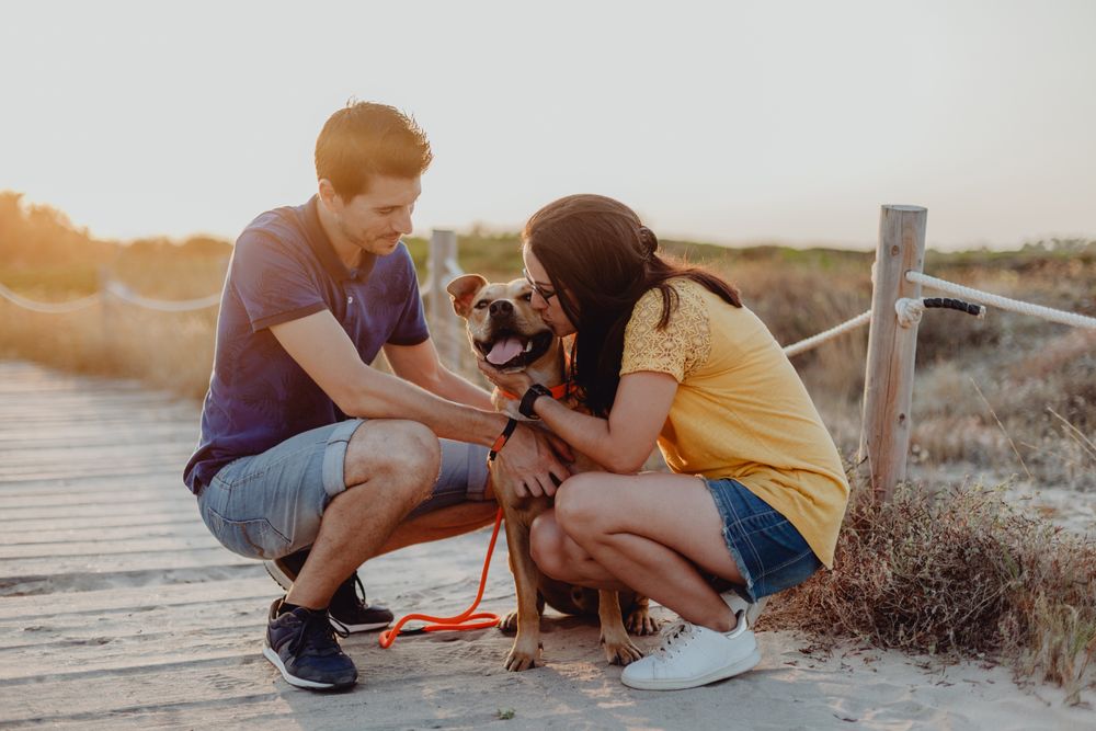 Happy adult couple petting dog at countryside