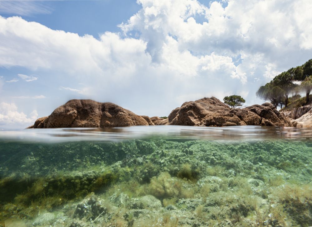 Stony island with bright greenery surrounded by water