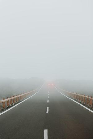 Asphalt road in foggy forest