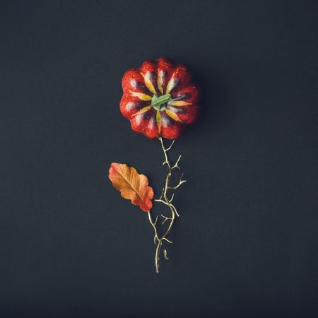 Flower concept made of pumpkin and autumn yellow leaf