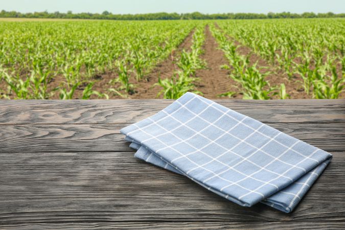 Wooden table with towel against field. Agriculture concept