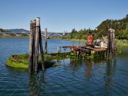 Remains of the Mary D. Hume coastal freighter decay in the harbor of Gold Beach, Oregon y0vZL0