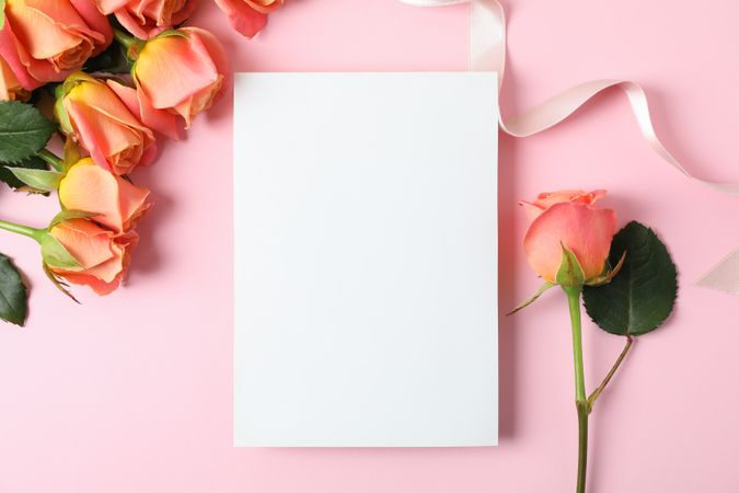 Composition with pink roses, ribbon and space for text on color background, top view