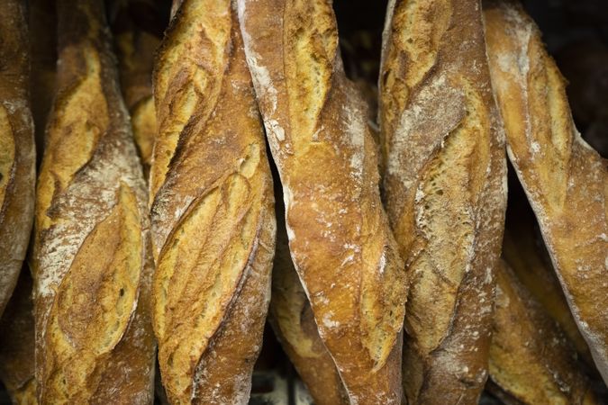 Traditional crusty French bread