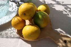 Lemons on wooden tray, on table
