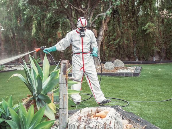 Fumigator in uniform spraying substance on garden