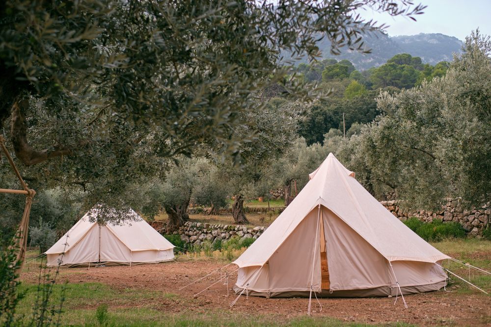 tent fixed on ground in forest area