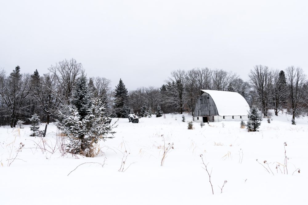 Abandoned farm building in the forest in the winter