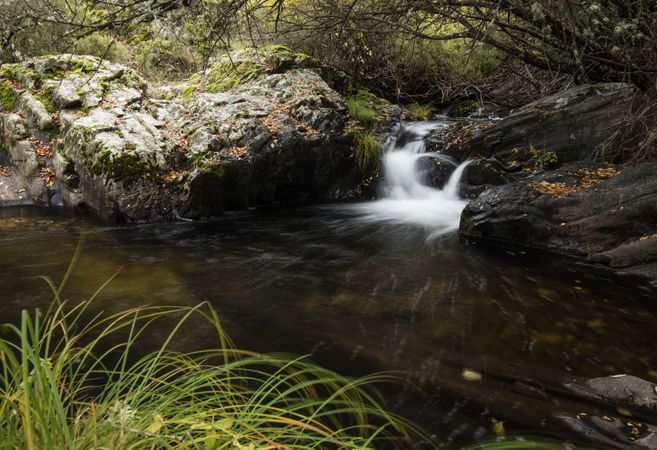 Beautiful clean creek in autumn forest