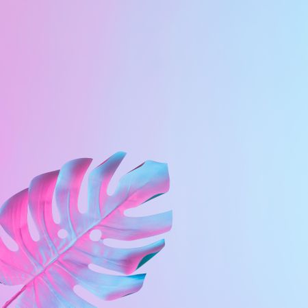 Tropical leaf in vibrant bold gradient blue and pink holographic neon colors