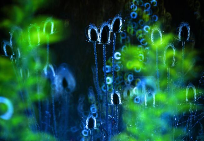 Grass on background of glowing circle